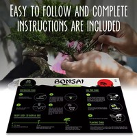 Kit Pohon Bonsai Dalam Ruangan Kit Tanaman Bonsai Pemula Perlengkapan Berkebun untuk Pemula Hadiah Ulang Tahun Anak