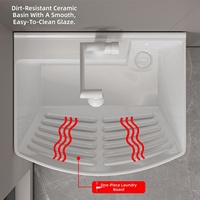Meuble de Lavage Autonome en Promotion, Évier en Céramique avec Planche à Laver Intégrée pour Balcon et Salle de Bain
