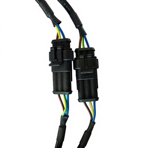 Çift Çekirdekli Araç 2P 3P Bakır IP66 Otomotiv Kablo Demeti Kablo Grubu - Product Image 1