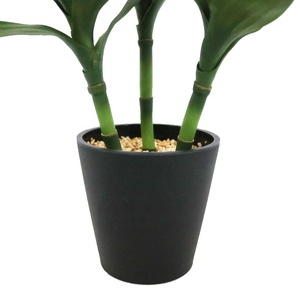Bambú de la Suerte Artificial de 55 cm de Altura, <span class=keywords><strong>Dracaena</strong></span> Sanderiana, Bonsái Artificial, Venta al por Mayor - Product Image 3