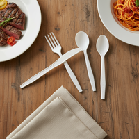 Greenday Wegwerp Premium Serie PLA Bestekset (mes, vork, lepel) van Polylactisch Zuur, geschikt voor dessert, cake, fruit en steak