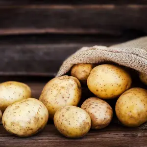 Fabriekslevering Nieuw Seizoen Aardappel Biologisch Voor Het Maken Van Chips Verse Aardappel Voor Fabrieksprijs