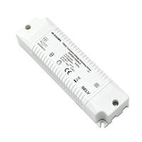 Fuente de alimentación de tamaño pequeño 24VDC Controlador LED 24W Voltaje constante Controlador de borde delantero