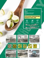 Solutions automatisées intégrées de traitement des noix, tri, pelage, torréfaction, emballage, ligne de traitement des noix de cajou, des cacahuètes, des pistaches