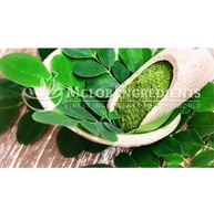 Extrait de poudre de Moringa, superaliment naturel, complément alimentaire à base de plantes pour l'énergie, l'immunité, la détoxification, le bien-être et la nutrition quotidienne, à base de plantes
