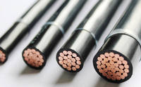 Cable Eléctrico Automotriz con Aislamiento de PVC, Cable de Cobre TC de 12 AWG 14 AWG ISO6722 para 500 m/rollo