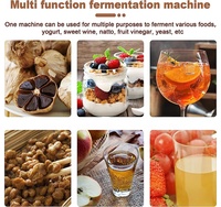 Fermenteur à ail noir commercial de 5 litres, prix usine, personnalisé, à vendre