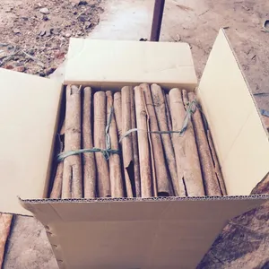 Cannelle Tube 100% d'origine naturelle de Phalco Société Vietnam