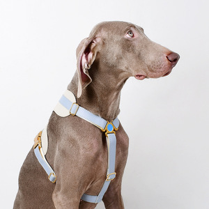 ペットカラー犬ハーネスリーシュセットカスタムロゴパーソナライズされたデザインリサイクル高級防水ソフトPUレザー - Product Image 1