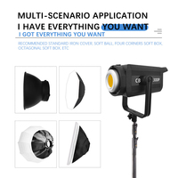 Kit d'éclairage vidéo bicolore 300W éclairage de photographie continu Bowens Mount Softbox avec support pour l'enregistrement vidéo