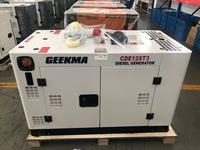 12KVA 15KVA 20KVA Tragbarer AC 110V 220V 380V Geräuscharmer Elektrischer Diesel-Stromgenerator