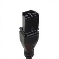 Cable de Extensión de Alimentación de Alta Potencia 30A 400V Compatible con Conector SAF-D-GRID a IEC320 C14 para Centro de Datos y Rack de Servidores de Alta Densidad
