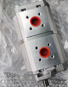 05816300 05813270 05810509 05813262 05810509 05810733 1821540 BW203 Motor de ventilador para apisonadora, bomba de engranajes - Product Image 1