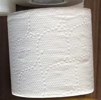 Offre Spéciale – Rouleau de Papier Toilette Domestique Ultra Doux 1 Plis, Dissolution Rapide, 100% Pâte Vierge, Jetable et Économique