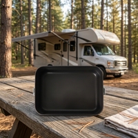 Poêle à frire électrique chauffante DC 24V antiadhésive, ustensile de cuisson extérieur 240W, plaque de cuisson pour camping