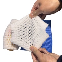 EPE Fruit Foam Net Cover