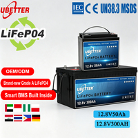 Batteries LiFePo4 100Ah-400Ah 12V 24V IP65 Empilables CAN Solaire Smart BMS pour VR, Marine, Chariots de Golf, Maison