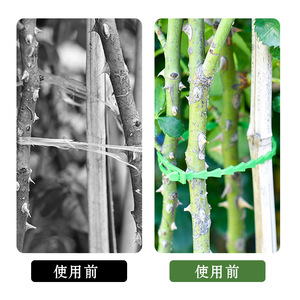 Ruban de ligature Haihua Garden vert, écologique, pour le soutien des plantes en horticulture - Product Image 5