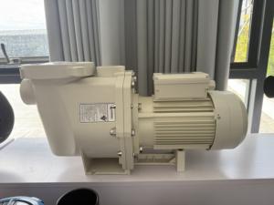 <span class=keywords><strong>Pompe</strong></span> de circulation de <span class=keywords><strong>piscine</strong></span> à haut débit <span class=keywords><strong>Pentair</strong></span> Style 1,5hp2hp3hp 2026 - Product Image 4