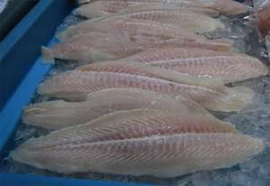 Túnel automático de congelación iqf, acero inoxidable, 304 frutas usadas, alimentos - Product Image 6