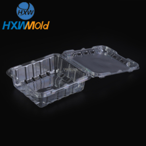 Fabricant de moules à blister professionnel personnalisé privé moule à fruits de thermoformage multi-stations - Product Image 4