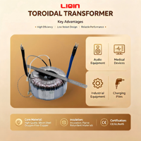 Transformateur audio toroïdal monophasé 12V/24V en cuivre, alimentation d'entrée 110V 50/60Hz