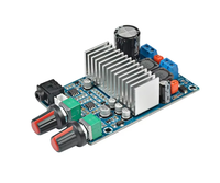 TPA3116 Carte d'amplificateur de caisson de basses TPA3116D2 Amplificateurs audio 100W DC12-24V de sortie basse