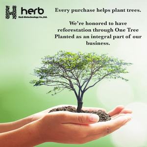 Capsules d'Ashwagandha de Suppléments naturels à base de plantes de marques de distributeur OEM/ODM pour le soutien immunitaire d'adulte 60 capsules par bouteille - Product Image 6