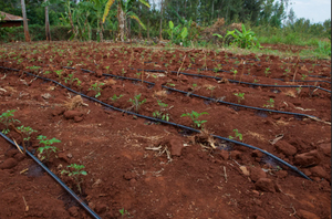 Умная цифровая система управления поливом - Product Image 4