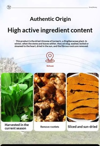 Curcuma Genuina Cinese Selvatica Cruda Essiccata in Fette 500g Giallo Brillante 5.0% Contenuto di Curcumina Confezione all'Ingrosso in Sacchetto - Product Image 3