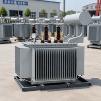 Transformateur de puissance immergé dans l'huile triphasé S20 500 kVA à trois enroulements 50 Hz 60 Hz pour distribution et usage agricole
