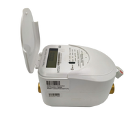 Compteur d'eau ultrasonique prépayé en laiton avec connectivité LoRaWAN - Protection IP68, personnalisable OEM, autonomie de la batterie au lithium de 10 ans