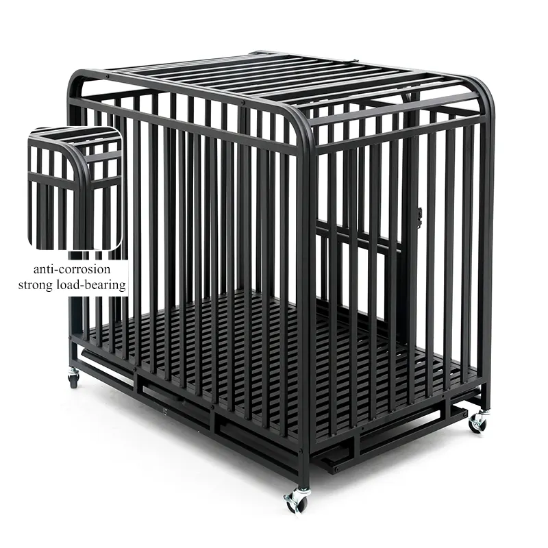Luxury Goods Perros Pet Shop Cage Display Cages