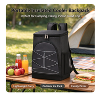 Sac à dos isotherme 20L moderne et souple, étanche, pour glace sèche, camping, pêche, plage, randonnée, extérieur, vin