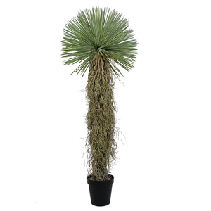 Oh Arts, superventas, 175cm de altura, árbol bonsái Artificial Oh Arts, plantas tropicales ornamentales de lujo modernas, <span class=keywords><strong>agave</strong></span> Artificial - Product Image 1