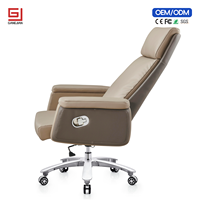 Chaise de bureau ergonomique professionnelle avec soutien lombaire et fonction pivotante