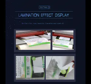 DOMSEM uv dtf Film aufkleber Rolle zu Rolle kalt 30cm Lamini maschine A3-Format voll automatischer Laminator