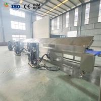 Automatische medium kleine chocolade-coatingmachine met chocoladesmelt tank voor de productie van biscuit, brood en snacks.
