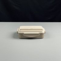 Boîte à Déjeuner Isotherme en Plastique Colorée avec Acier Inoxydable SUS304, 5 Compartiments, Anti-Fuite et Contenant Thermique