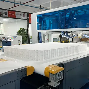 Guangdong Mattress Factory Manufacturer 10 Inches Luxury Super King Double Bed Memory Foam Mattress In A Box
