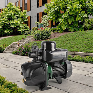 Jdw50 pompa acqua pozzo profondo prezzo di fabbrica fontana di aspirazione profonda figa pompa da giardino industriale a buon mercato sulla vendita all'ingrosso - Product Image 2