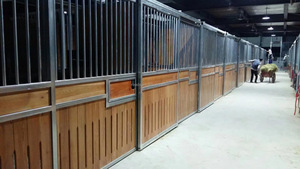 Riet Rs 076 Waterdicht Gegalvaniseerd Stalen Frame Buiten Paardenstal Zuinig Geprefabriceerd Onderdak <span class=keywords><strong>2</strong></span> Jaar Garantie Voor Paard - Product Image 5