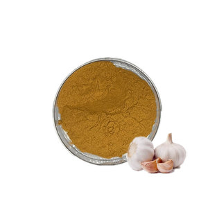 Wholesale Food Grade Pure Organic Dehydrated Aged <strong>Garlic</strong> Powder 10:1 Allium Sativum Extract Powder - Product Image 1