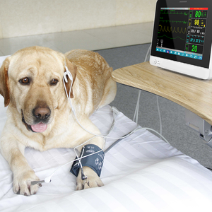 Monitor de Signos Vitales Portátil para Veterinarios SAFVET CM9100, Multiparámetros - Product Image 2