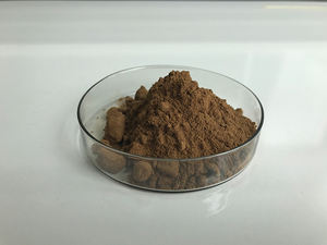 Природный источник полисахаридов, экстракт антродии камфоры - Product Image 5