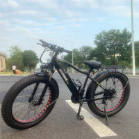 Vélo de montagne électrique à pneus larges 20 pouces/26 pouces 36V/48V 250W-750W Batterie intégrée Frein à disque Cadre en alliage d'aluminium 8 vitesses