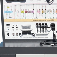 Banco de entrenamiento metálico para sistemas de inyección de combustible de gasolina automotriz, con ECU, encendido eléctrico DIS y diagnóstico EOBD, para uso profesional.