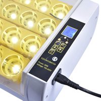 Incubateur d'œufs numérique entièrement automatique HHD à taux d'éclosion élevé, capacité de 24 œufs, pour volailles, incubateur pour poulets, à vendre