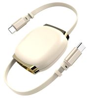 Cable USB-C a USB-C Retráctil de 240W con Blindaje de Lámina y Diseño Magnético para Computadoras y Dispositivos iOS - Venta al Por Mayor