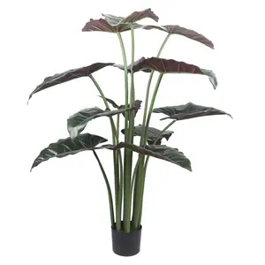 Wholesale For Interior Decoration Large Evergreen Plant Plastic Calla Bonsai Tree